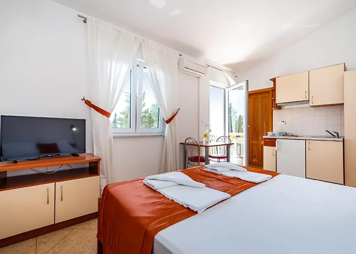 Apartamento Prkacin 2 *